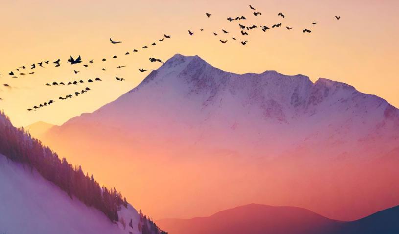 snowed mountains at sunrise with flying black birds