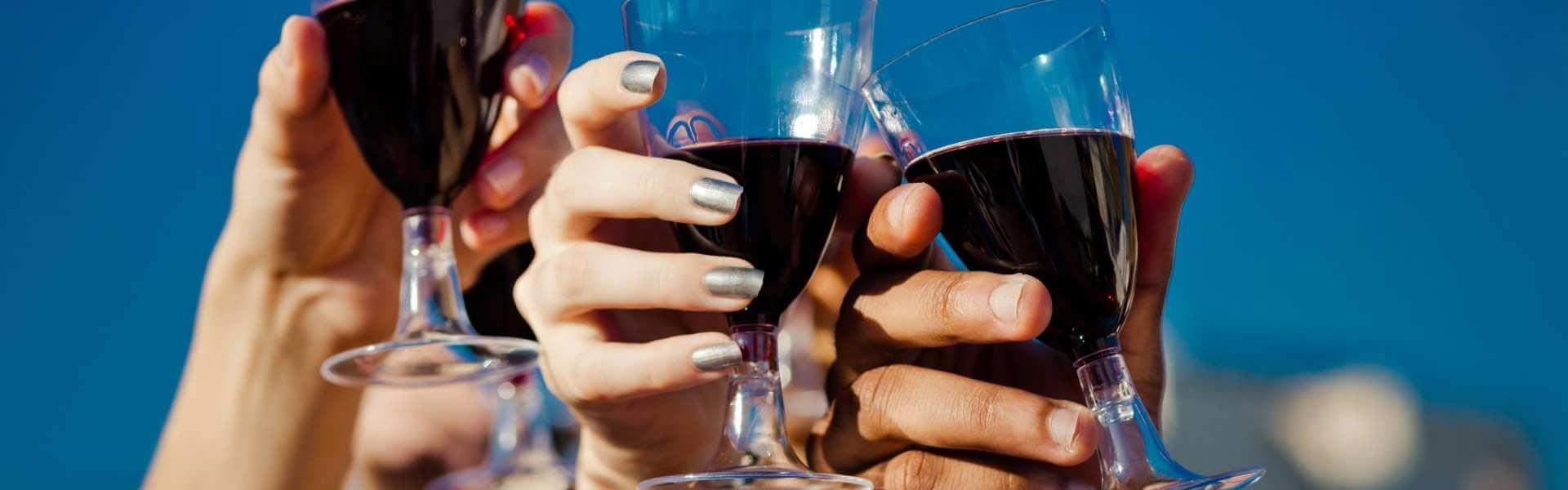 young people drinking wine on a blue clear sky