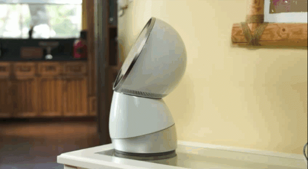 Jibo Opentrends